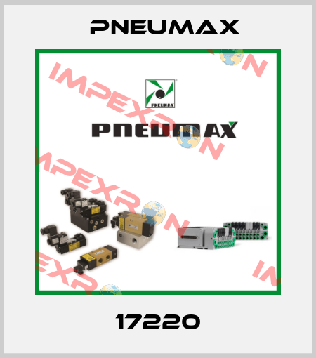 17220 Pneumax