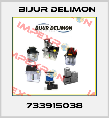 73391S038 Bijur Delimon