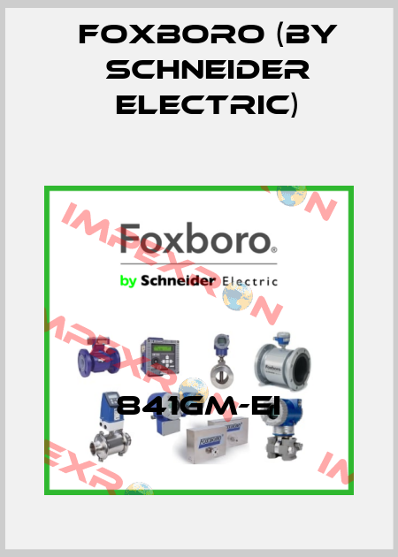 841GM-EI Foxboro (by Schneider Electric)