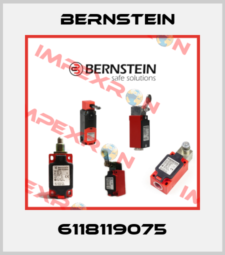 6118119075 Bernstein