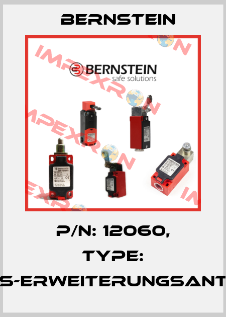 P/N: 12060, Type: SI-ZKS-Erweiterungsantenne Bernstein