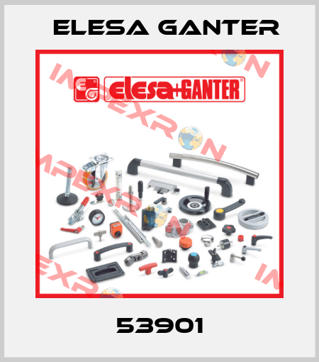 53901 Elesa Ganter