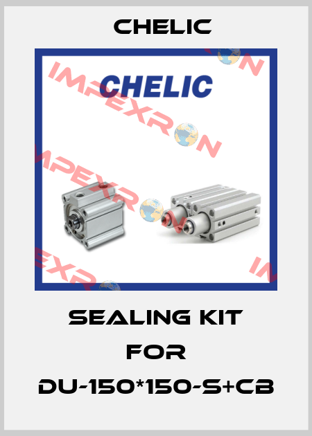 Sealing kit for DU-150*150-S+CB Chelic