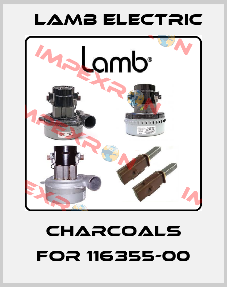 Charcoals for 116355-00 Lamb Electric
