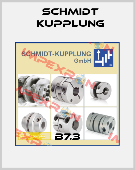 B7.3 Schmidt Kupplung