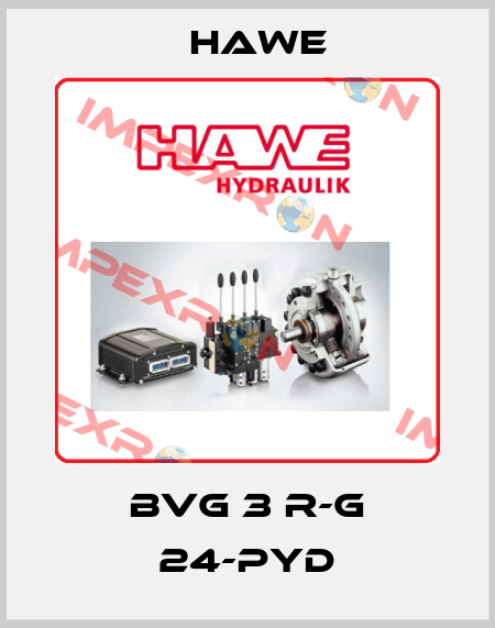 BVG 3 R-G 24-PYD Hawe