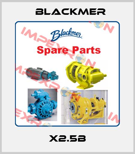 X2.5B Blackmer