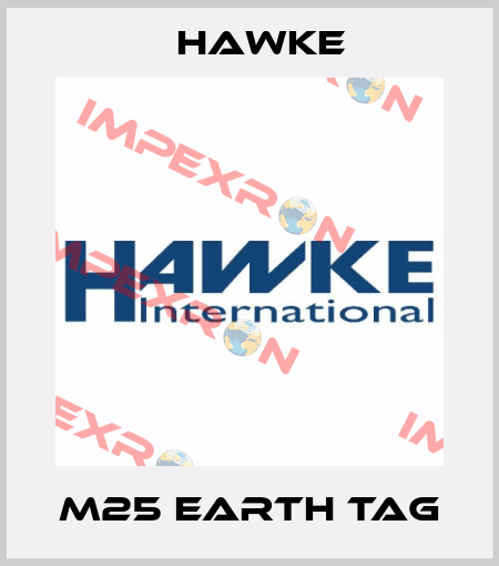 M25 Earth tag Hawke