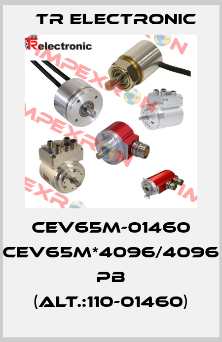 CEV65M-01460 CEV65M*4096/4096 PB (ALT.:110-01460) TR Electronic