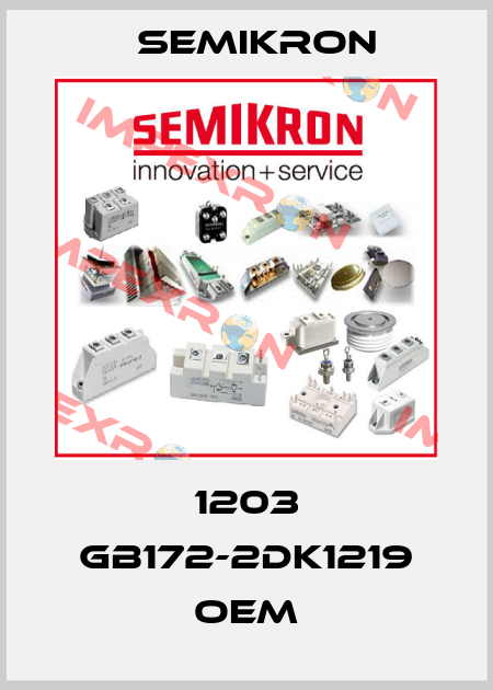 1203 GB172-2DK1219 OEM Semikron