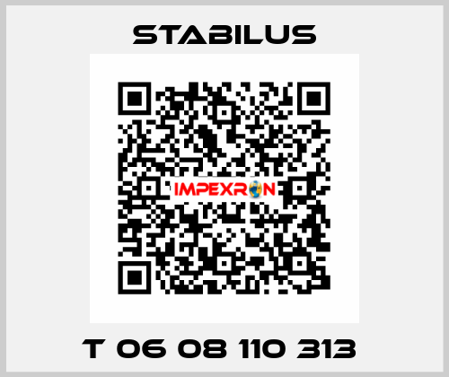 T 06 08 110 313  Stabilus