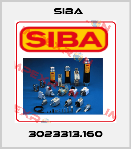3023313.160 Siba