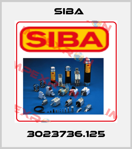 3023736.125 Siba