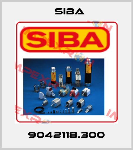 9042118.300 Siba