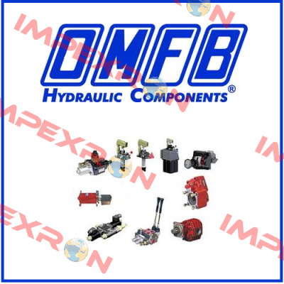 M10601200065 OMFB Hydraulic