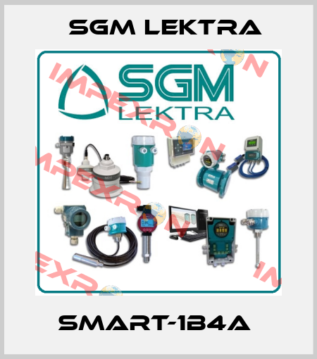 SMART-1B4A  Sgm Lektra
