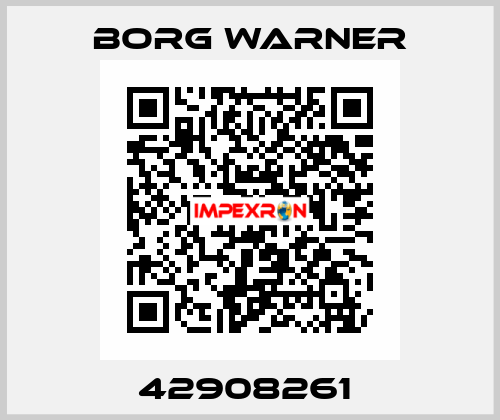 42908261  Borg Warner