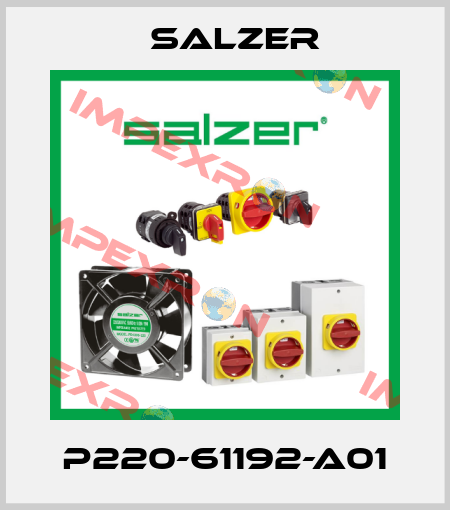 P220-61192-A01 Salzer