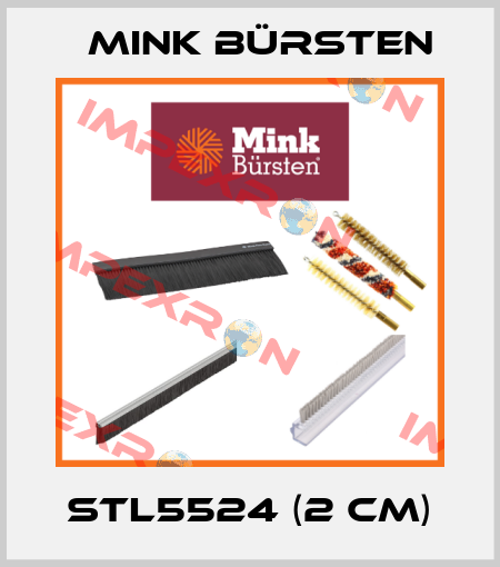 STL5524 (2 CM) Mink Bürsten