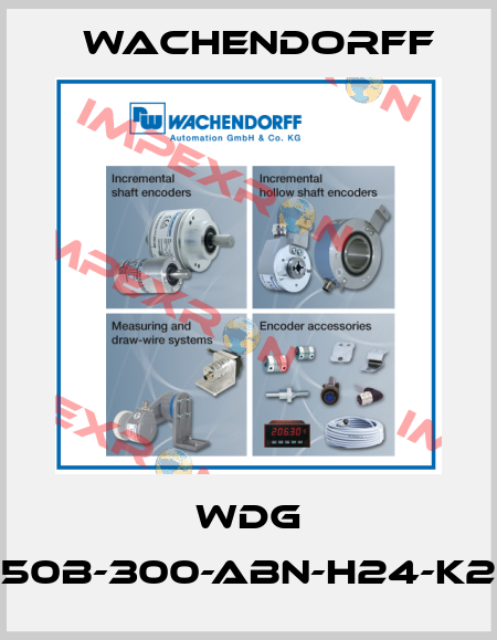 WDG 50B-300-ABN-H24-K2 Wachendorff
