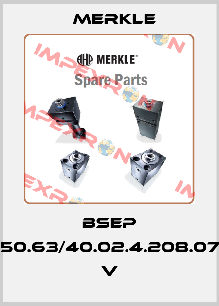 BSEP 250.63/40.02.4.208.075 V Merkle