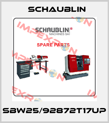 SBW25/92872T17UP Schaublin
