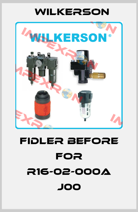 Fidler before for R16-02-000A J00 Wilkerson