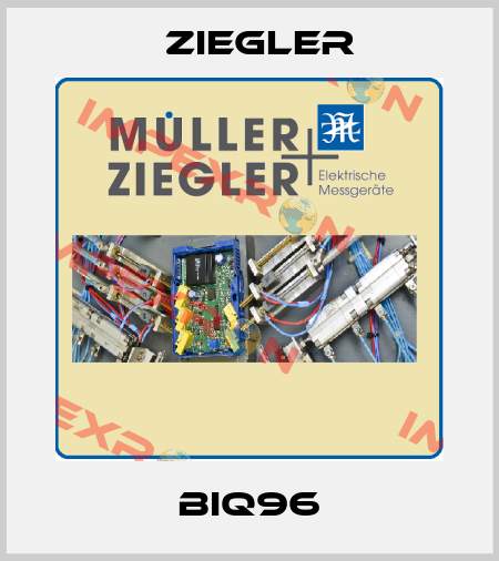 BIQ96 Ziegler