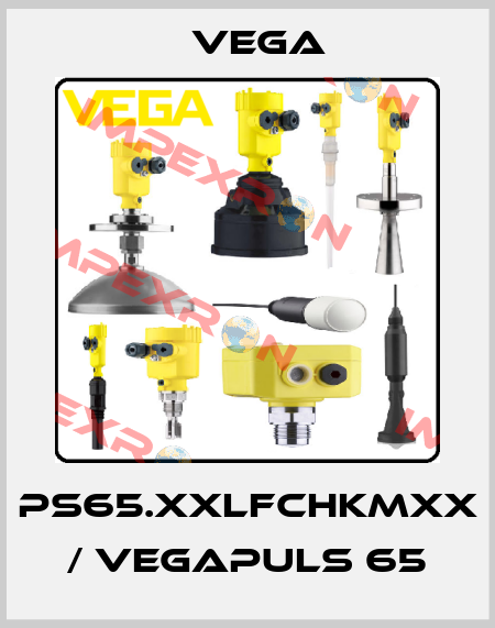 PS65.XXLFCHKMXX / VEGAPULS 65 Vega