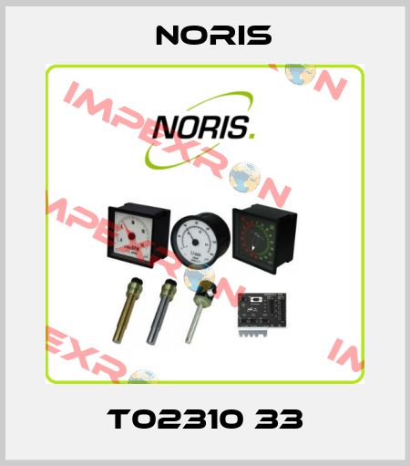 T02310 33 Noris