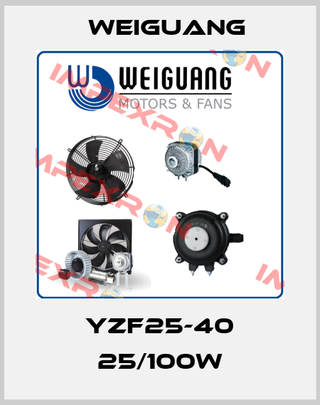 YZF25-40 25/100W Weiguang