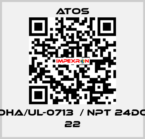 DHA/UL-0713  / NPT 24DC 22 Atos