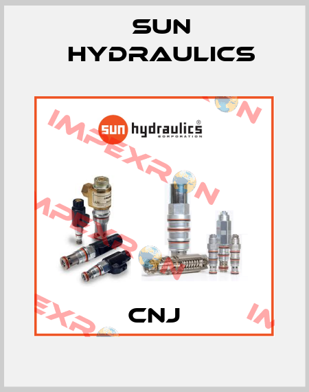 CNJ Sun Hydraulics