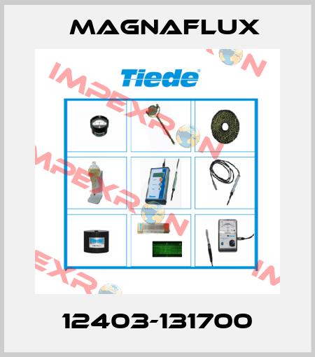 12403-131700 Magnaflux