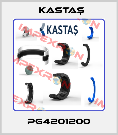 PG4201200 Kastaş