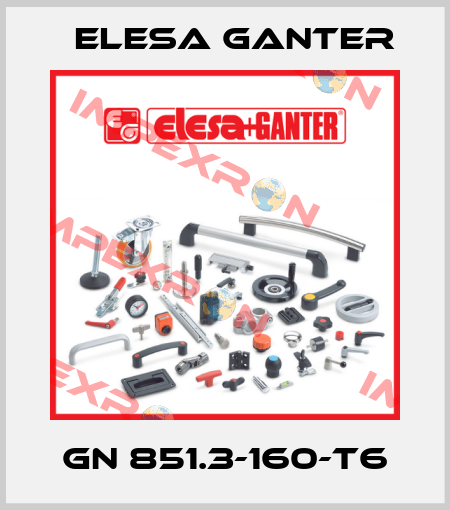 GN 851.3-160-T6 Elesa Ganter