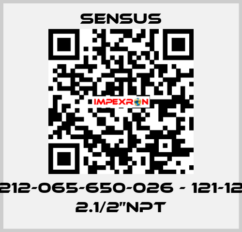 212-065-650-026 - 121-12 2.1/2”NPT Sensus