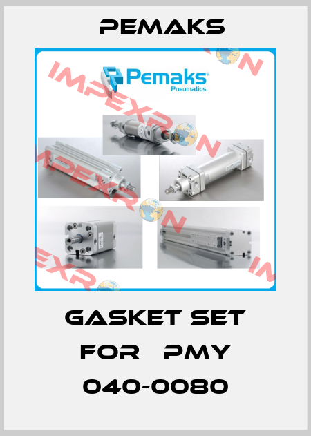gasket set for   PMY 040-0080 Pemaks
