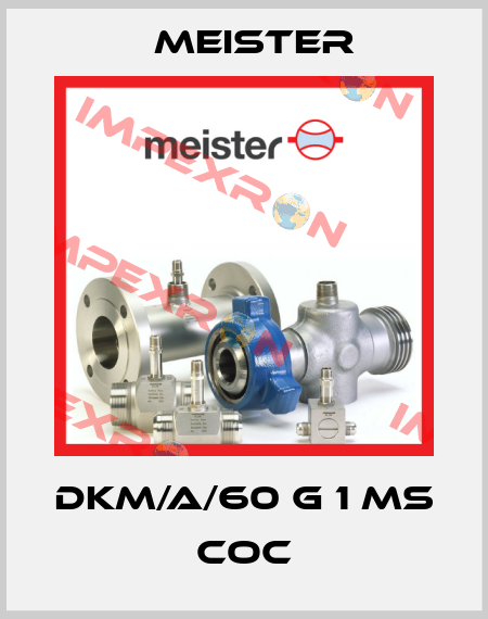 DKM/A/60 G 1 MS COC Meister