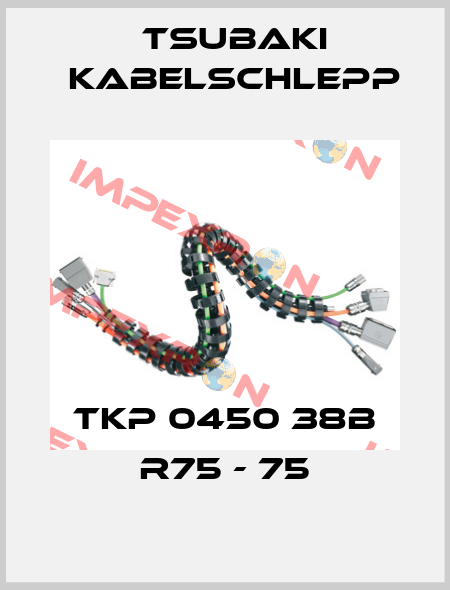 TKP 0450 38B R75 - 75 Tsubaki Kabelschlepp