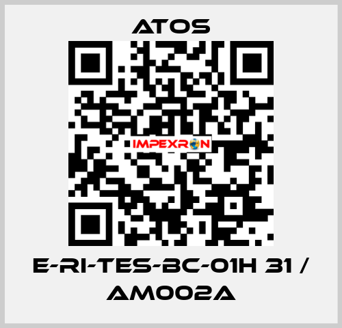 E-RI-TES-BC-01H 31 / AM002A Atos