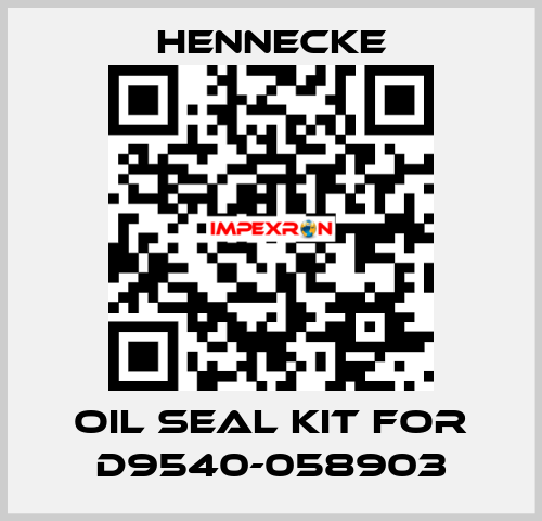 oil seal kit for D9540-058903 Hennecke