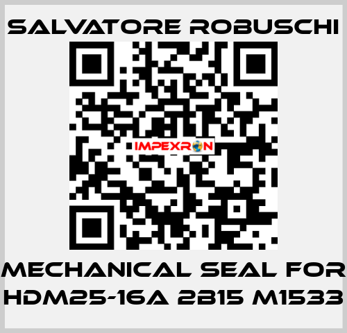 mechanical seal for HDM25-16A 2B15 M1533 SALVATORE ROBUSCHI