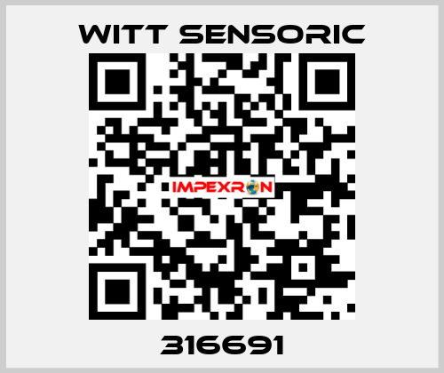 316691 Witt Sensoric