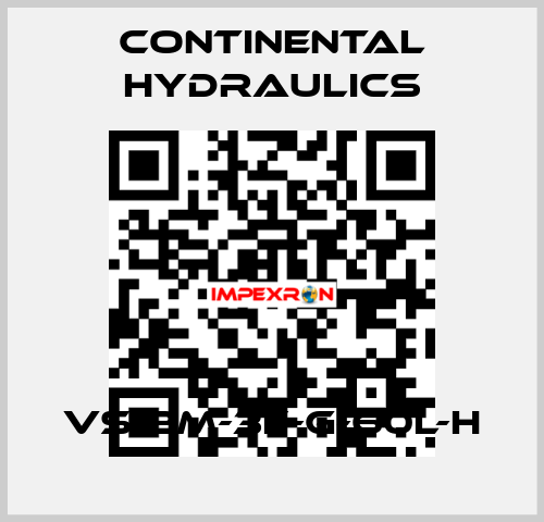 VS12M-3F-G-60L-H Continental Hydraulics