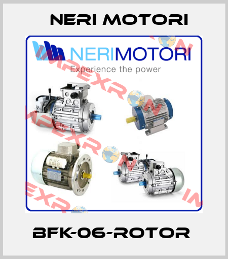 BFK-06-Rotor  Neri Motori