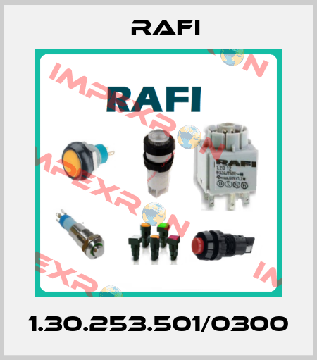 1.30.253.501/0300 Rafi