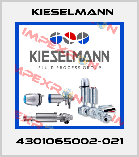 4301065002-021 Kieselmann