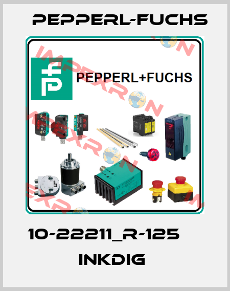 10-22211_R-125          InkDIG  Pepperl-Fuchs