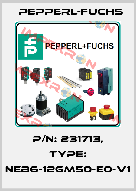 p/n: 231713, Type: NEB6-12GM50-E0-V1 Pepperl-Fuchs